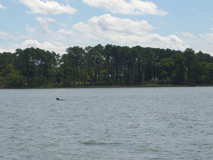 Chincoteague September 2007 006.JPG